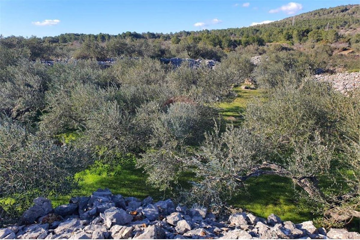 Zemljište Na prodaju - SPLITSKO-DALMATINSKA HVAR