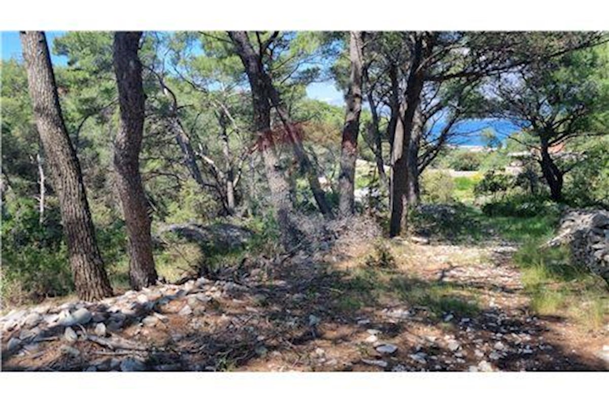 Land For sale - SPLITSKO-DALMATINSKA BRAČ