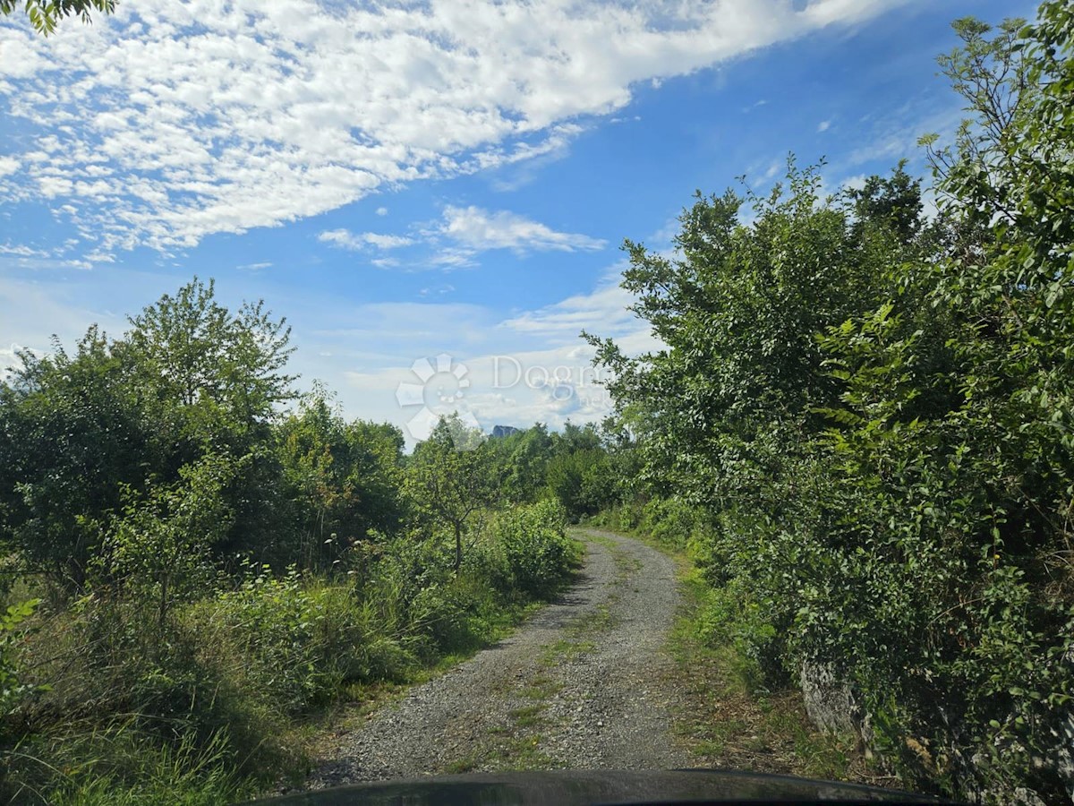 Terreno In vendita - LIČKO-SENJSKA LOVINAC