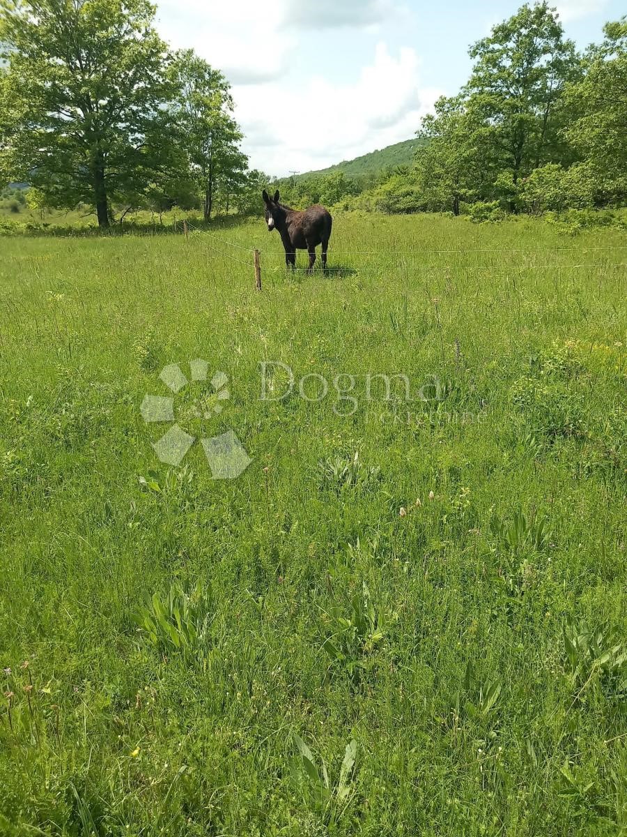 Terreno In vendita - LIČKO-SENJSKA LOVINAC