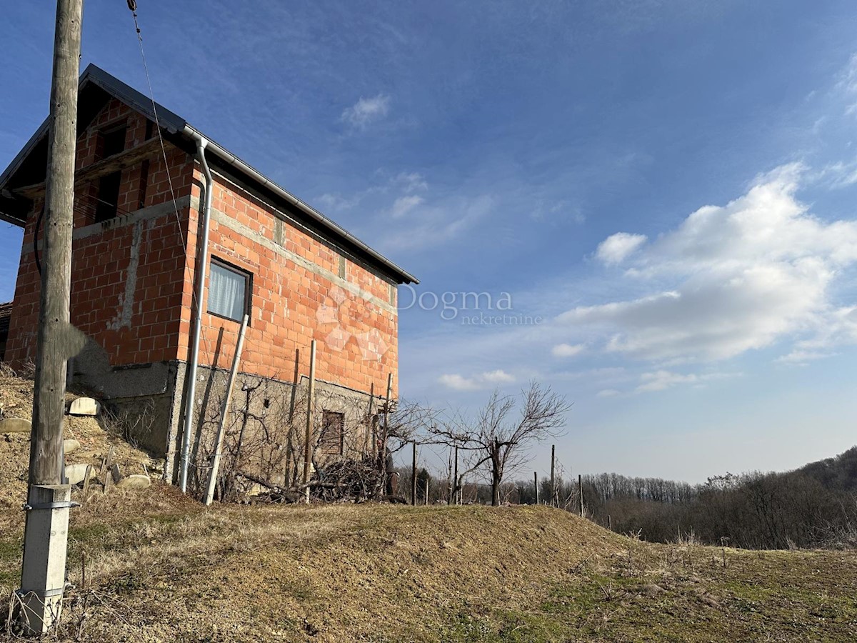 House For sale FALINIĆ BREG