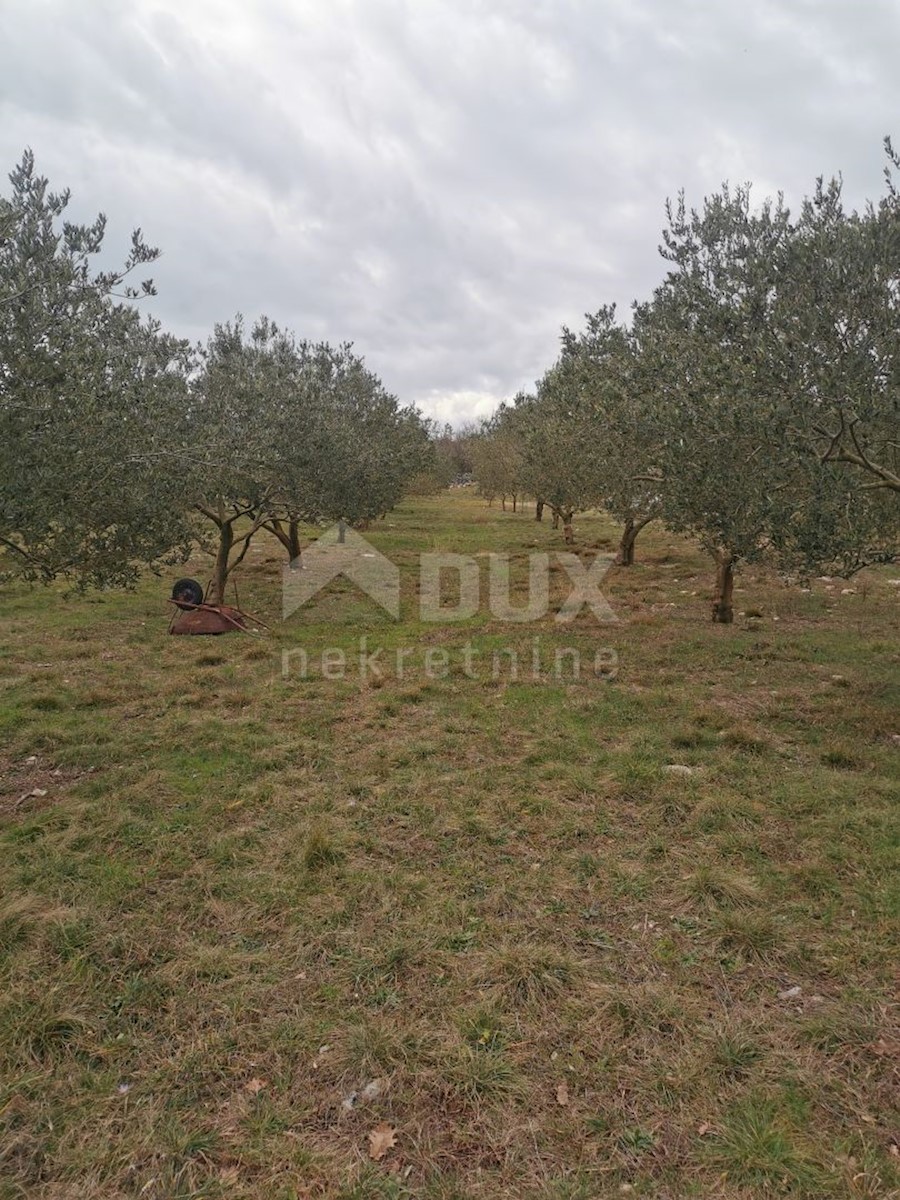 Land For sale - PRIMORSKO-GORANSKA KRK