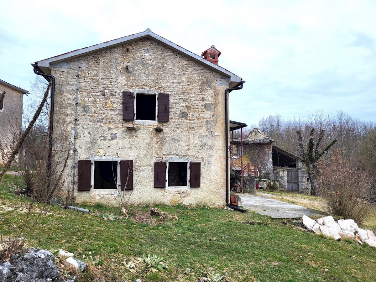 House For sale - ISTARSKA PAZIN