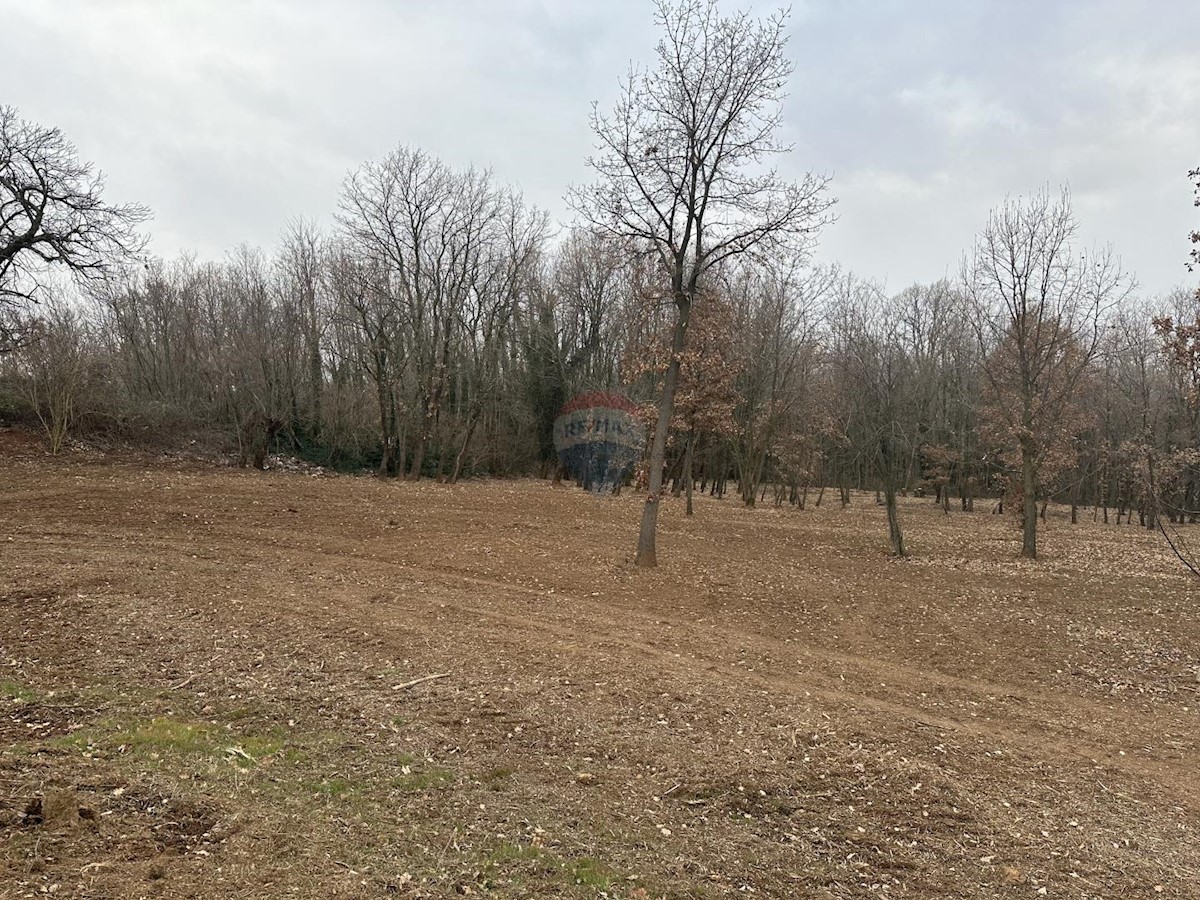 Terreno In vendita - ISTARSKA LABIN