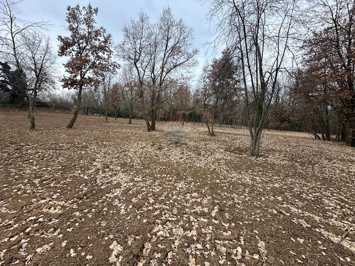 Parcela Naprodaj - ISTARSKA Labin