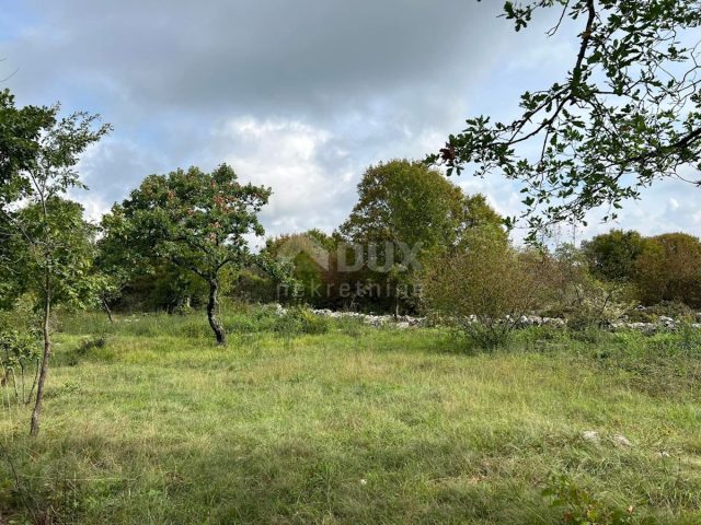 House For sale - Istarska Barban - foto 3/4