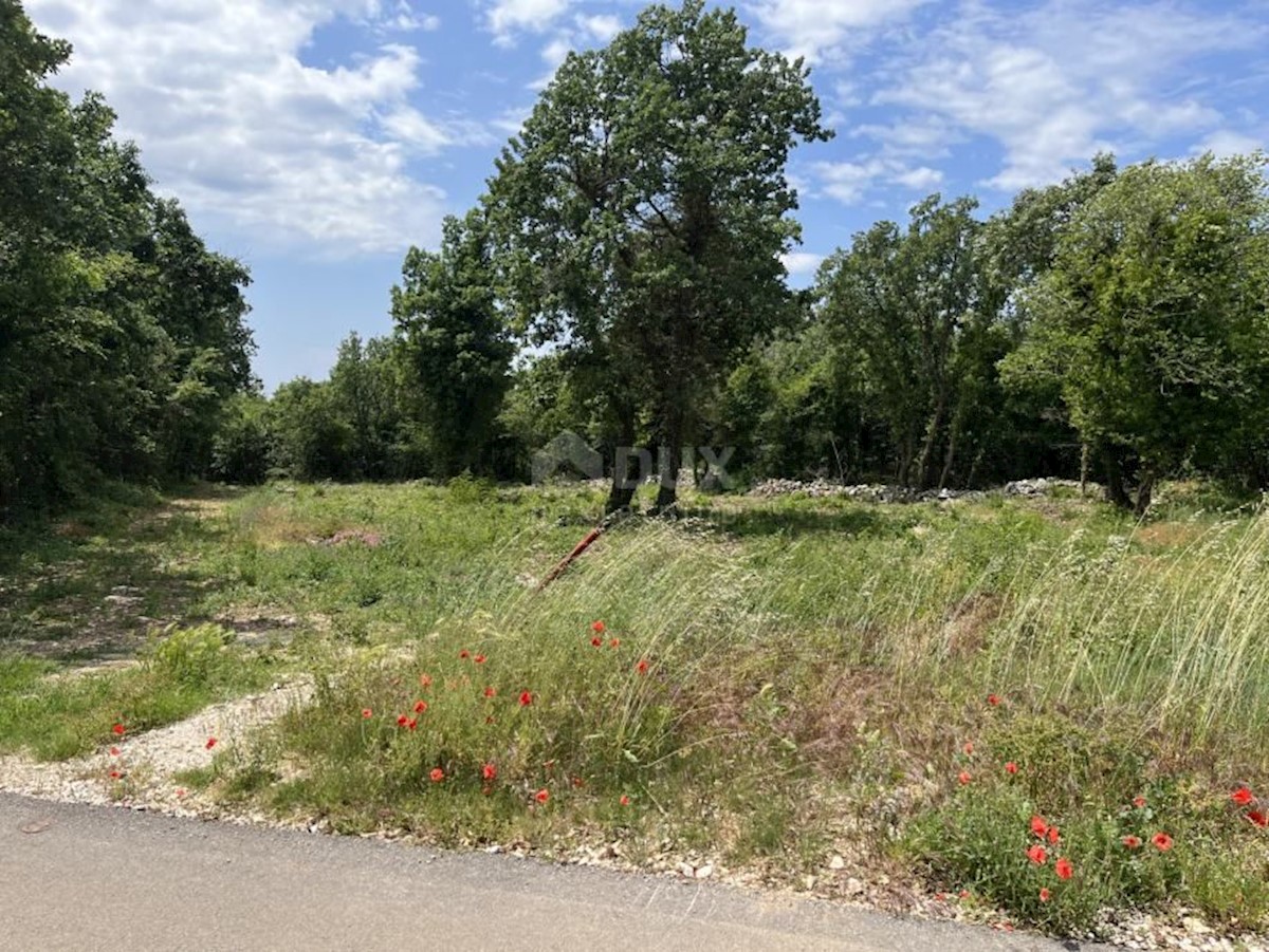 Parcela Naprodaj - ISTARSKA Sveti Lovreč