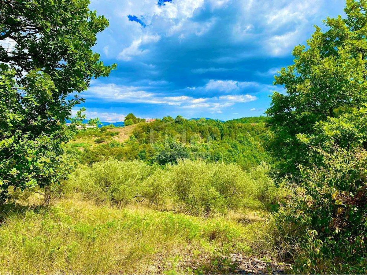 Terreno In vendita - ISTARSKA CEROVLJE