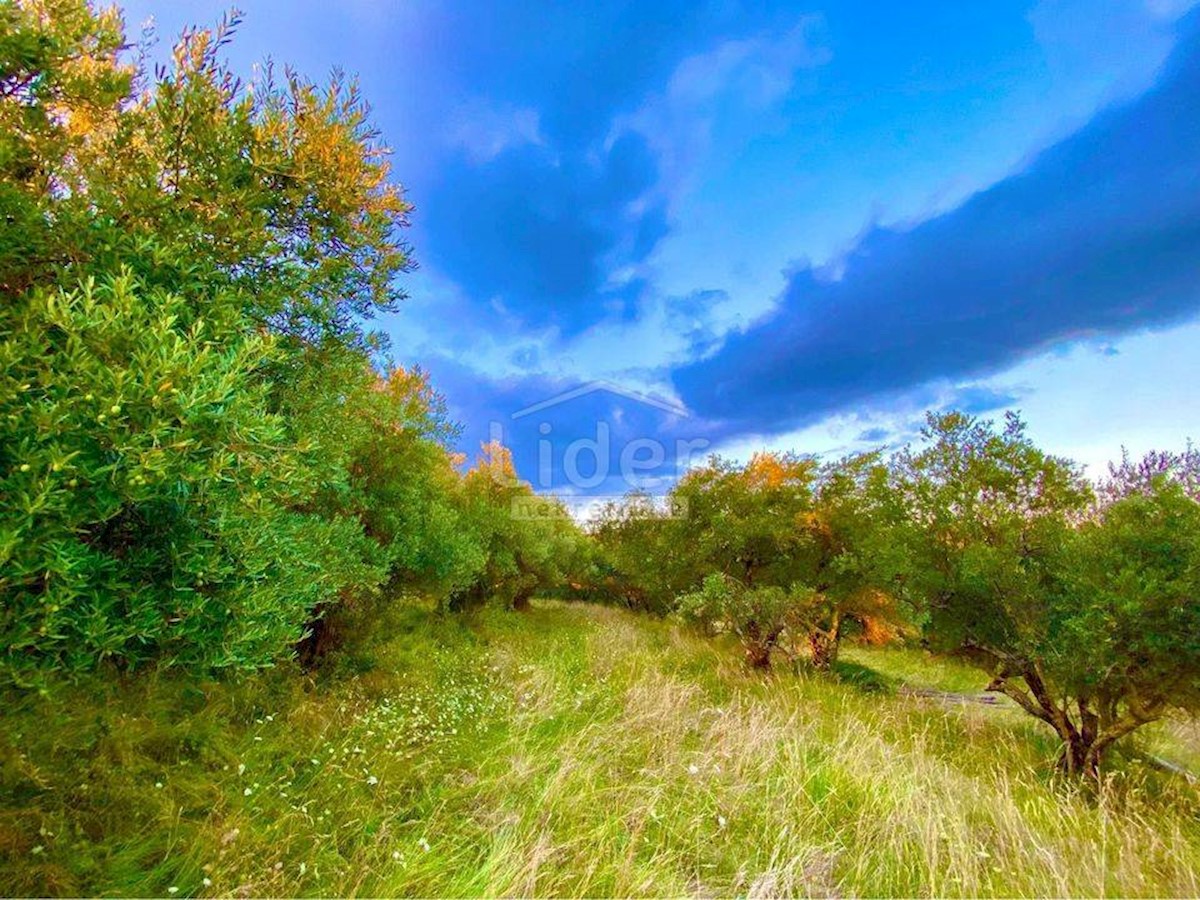 Land For sale - ISTARSKA CEROVLJE