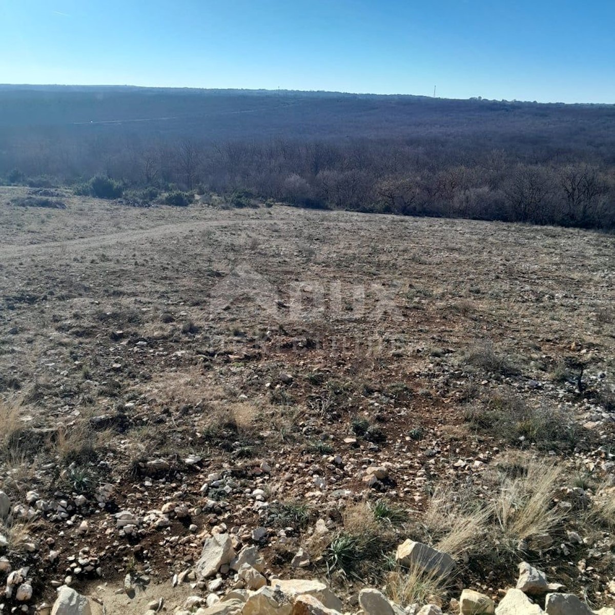 Land For sale - ZADARSKA POSEDARJE