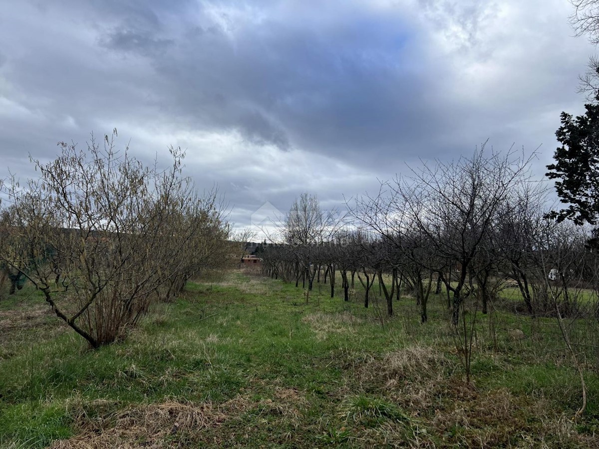 Terreno In vendita - ISTARSKA Kršan