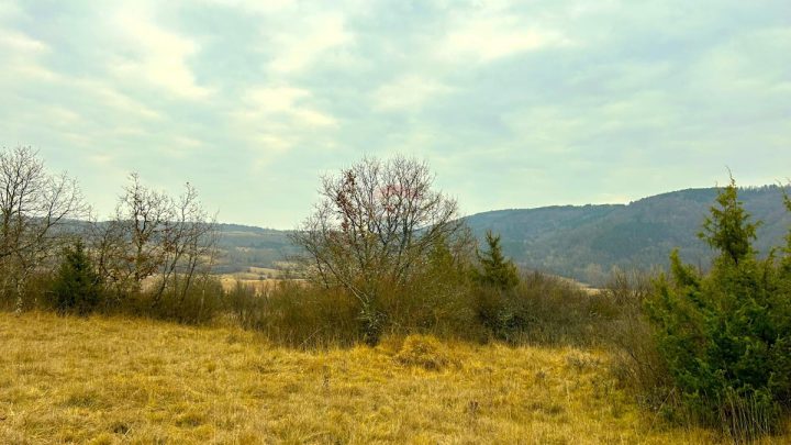 Zemljište Na prodaju - Istarska Grožnjan - foto 2/6