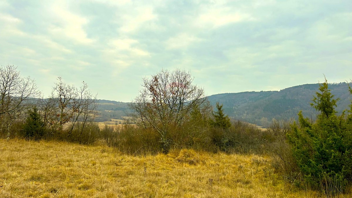 Pozemek Na prodej - ISTARSKA GROŽNJAN