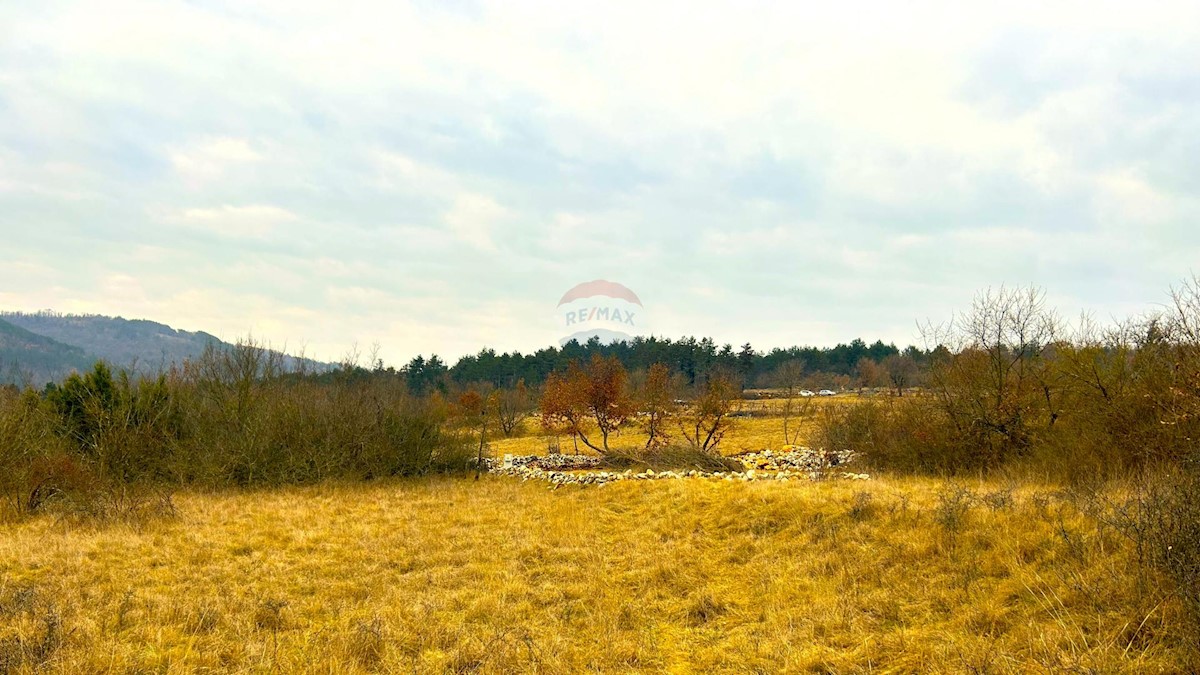 Terreno In vendita - ISTARSKA GROŽNJAN