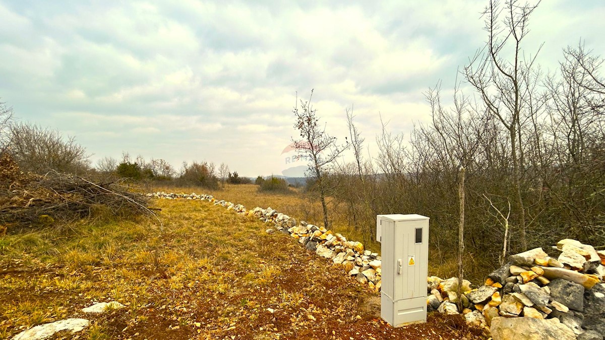 Land For sale - ISTARSKA GROŽNJAN