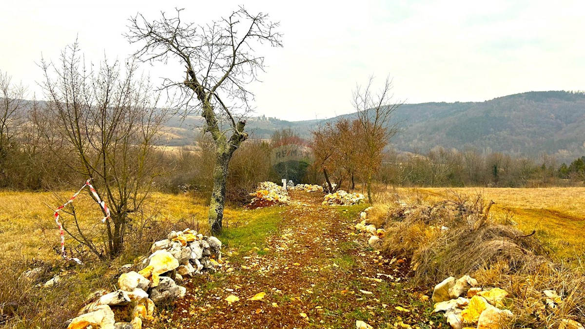 Land For sale - ISTARSKA GROŽNJAN