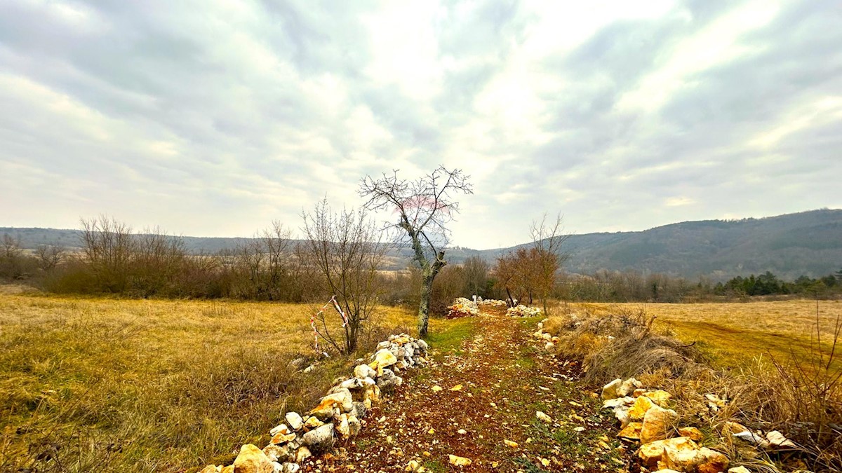 Land For sale - ISTARSKA GROŽNJAN