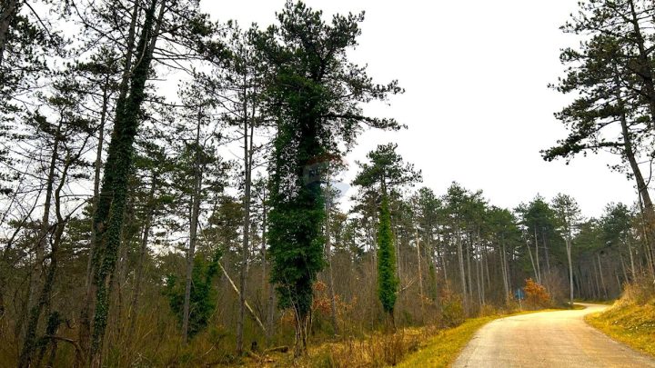 Terrain à vendre 4239 m² – Završje