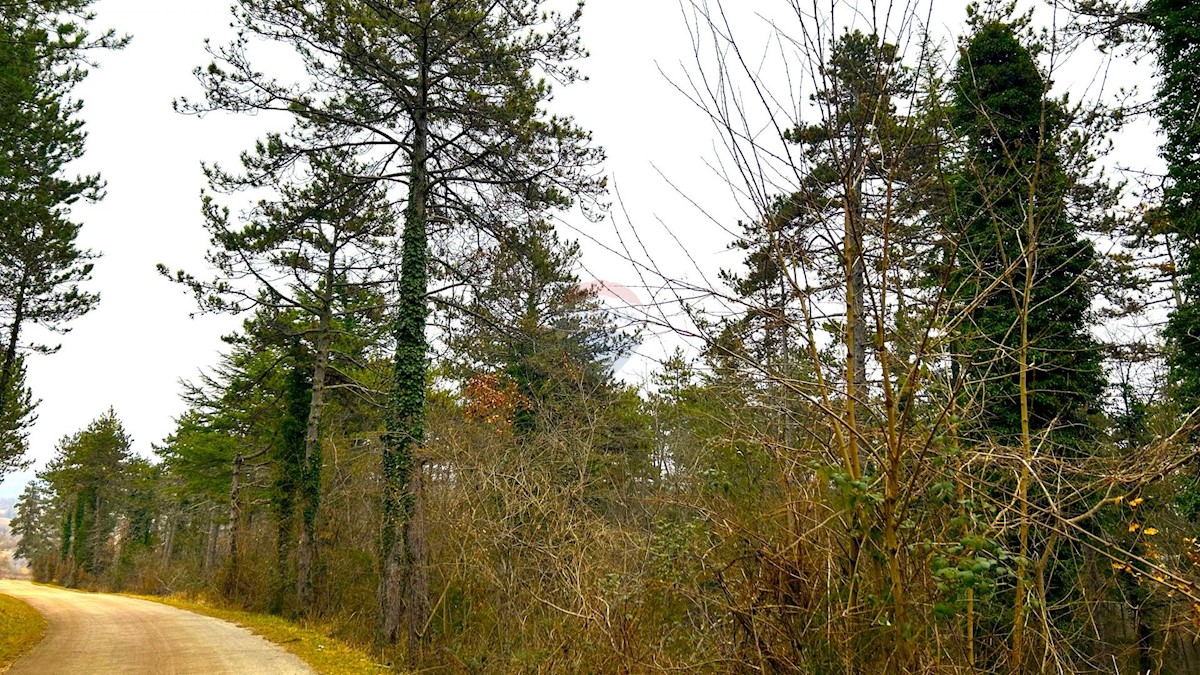 Terreno In vendita - ISTARSKA GROŽNJAN