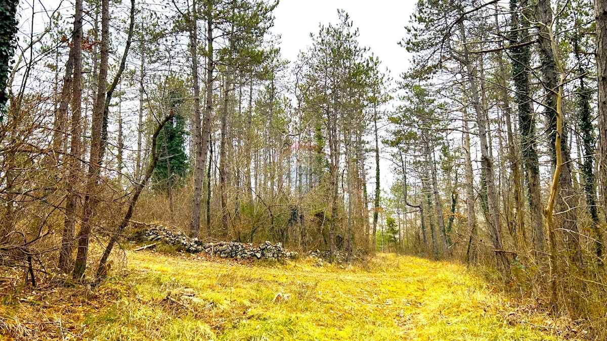 Land For sale - ISTARSKA GROŽNJAN