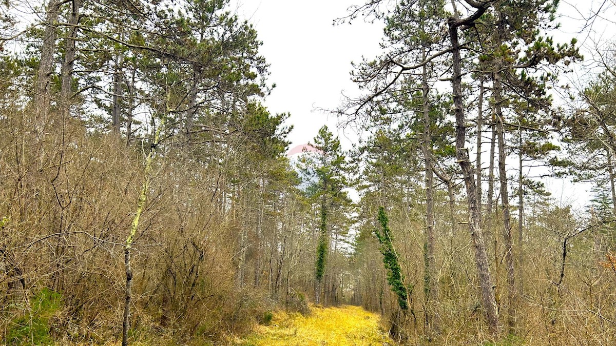 Terreno In vendita - ISTARSKA GROŽNJAN