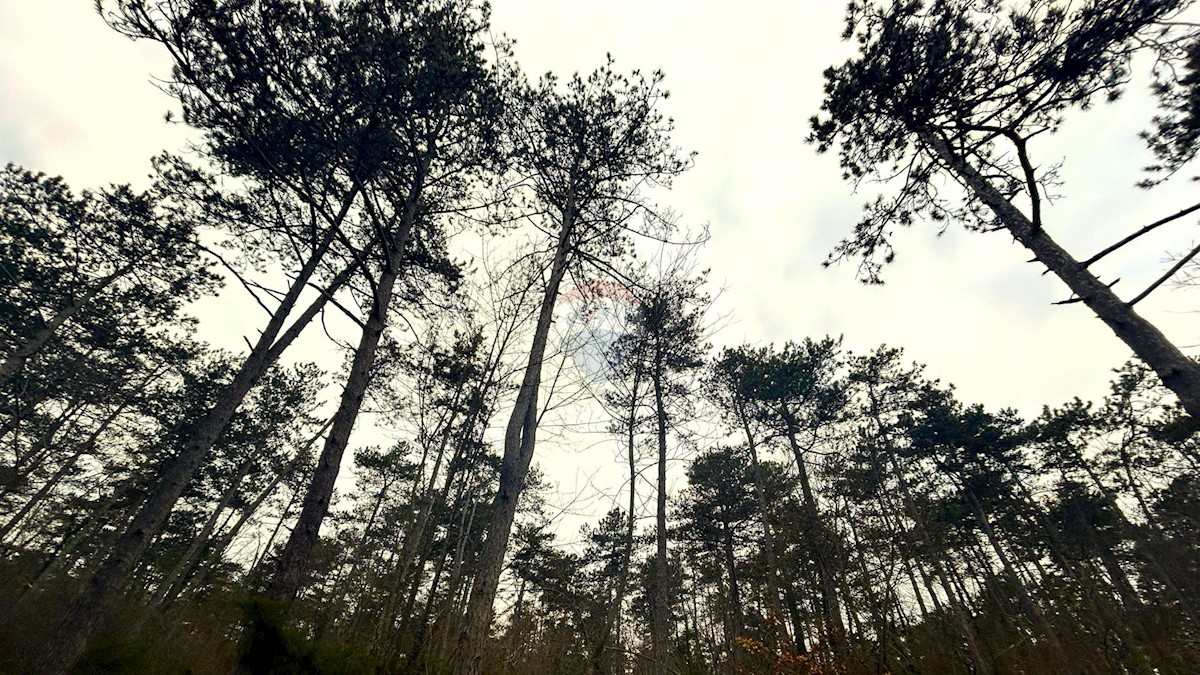 Terreno In vendita - ISTARSKA GROŽNJAN