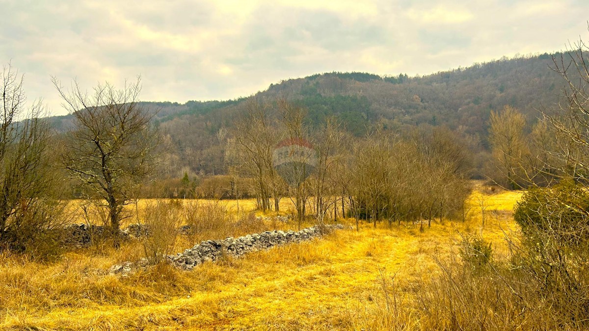 Terreno In vendita ZAVRŠJE