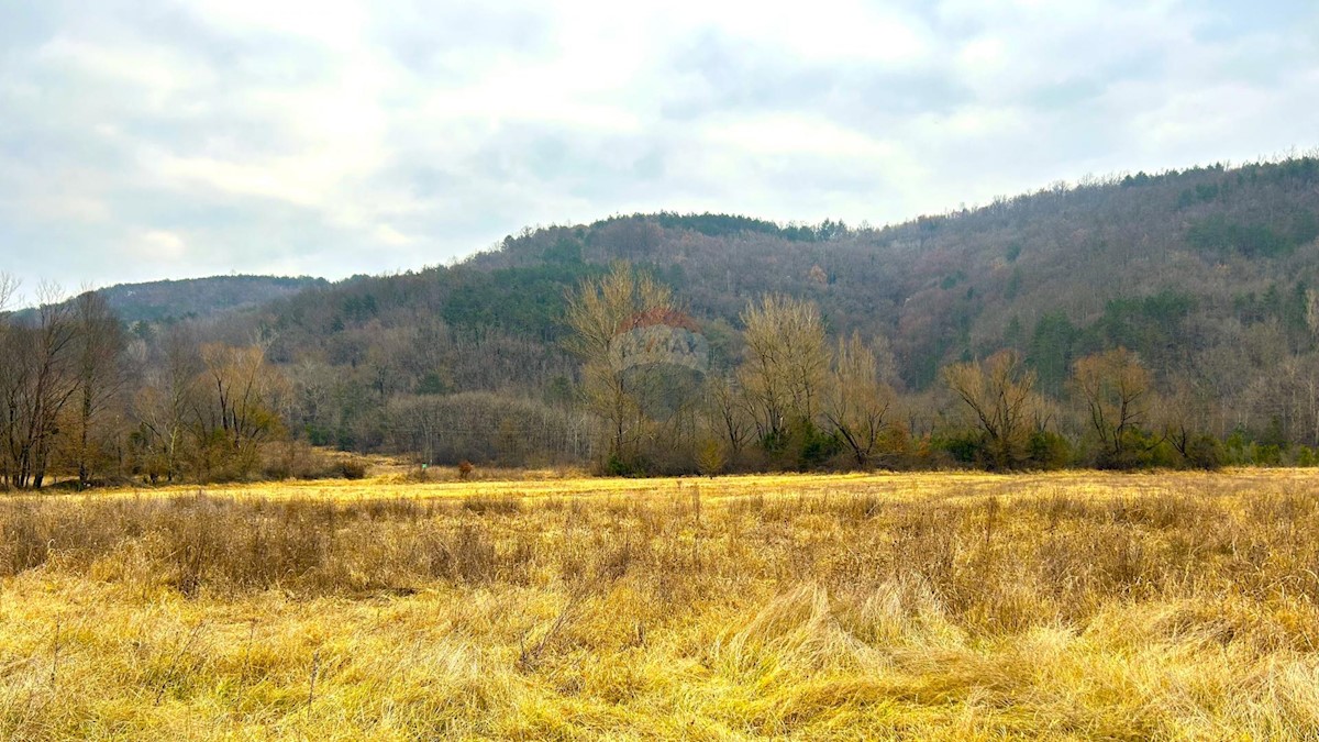 Pozemok Na predaj - ISTARSKA GROŽNJAN