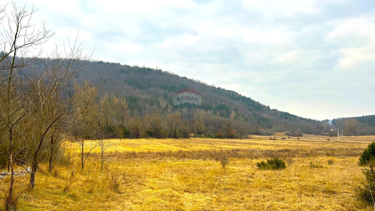 Land For sale - ISTARSKA GROŽNJAN