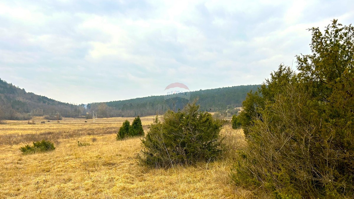 Land For sale - ISTARSKA GROŽNJAN