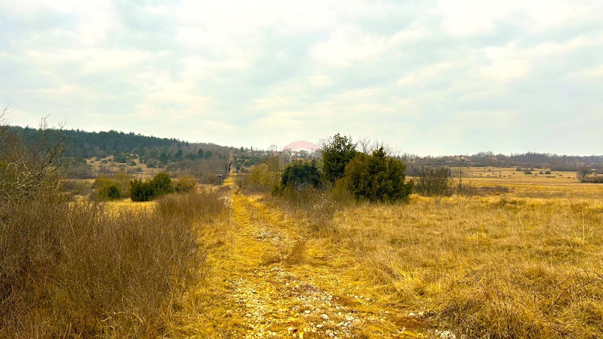 Terreno In vendita - ISTARSKA GROŽNJAN