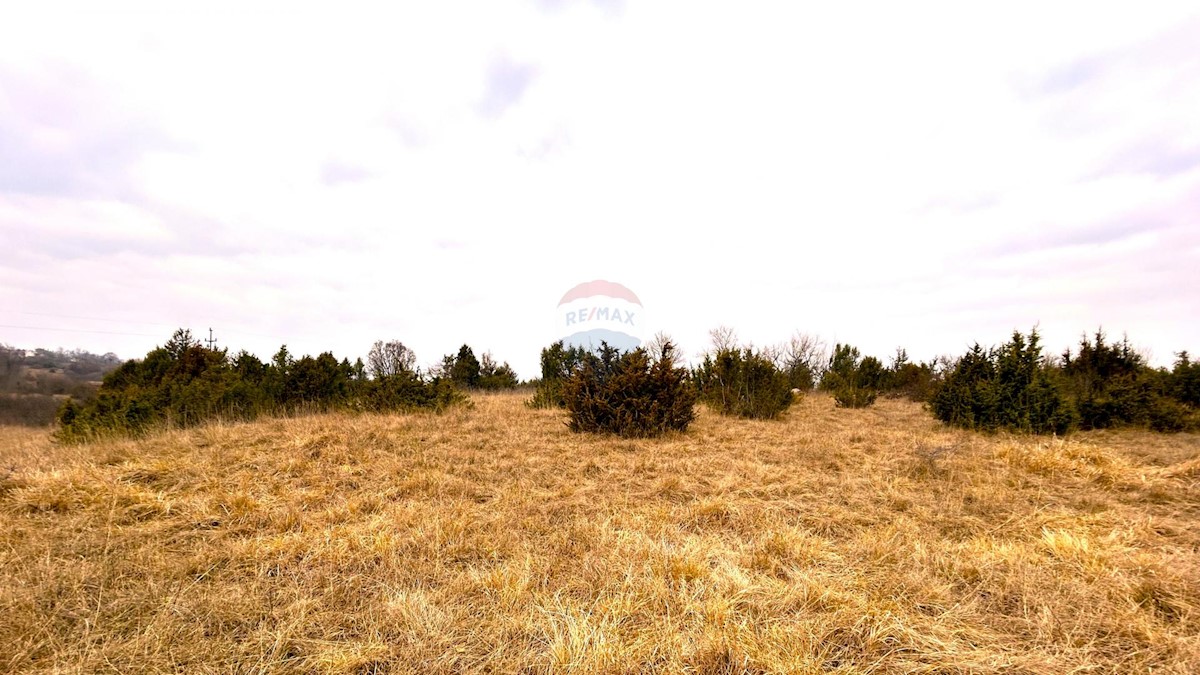 Terreno In vendita - ISTARSKA GROŽNJAN