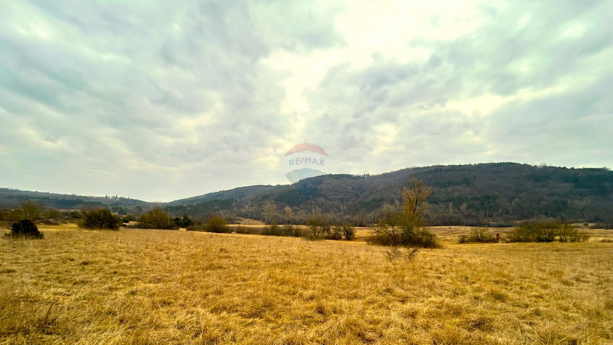 Land For sale - ISTARSKA GROŽNJAN