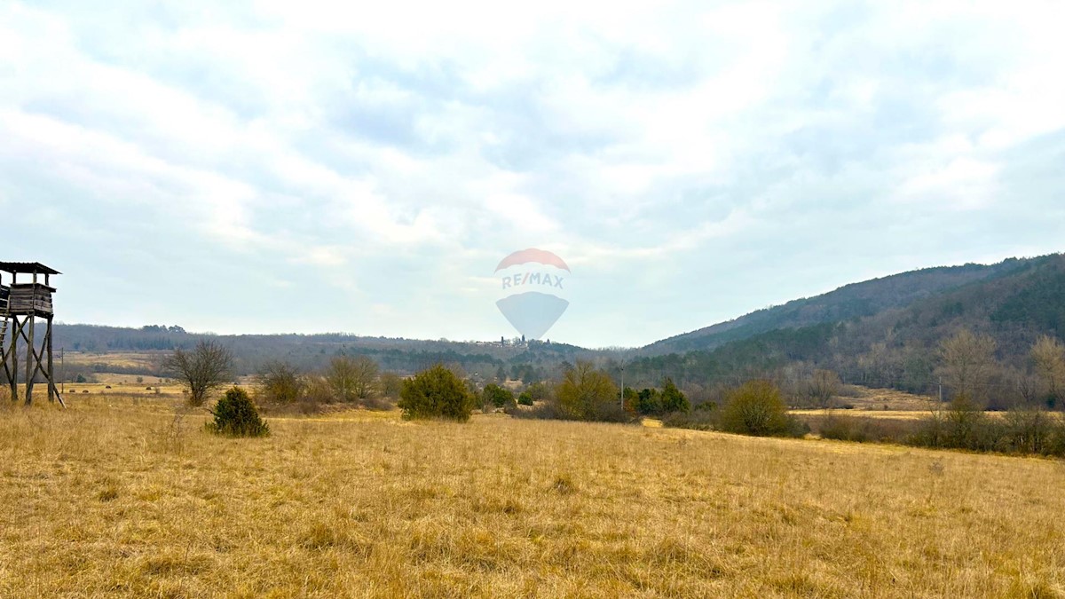 Land For sale - ISTARSKA GROŽNJAN