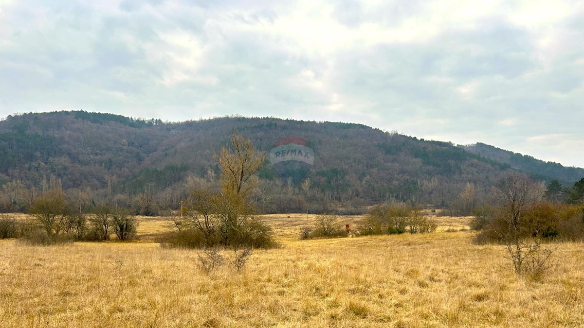 Land For sale - ISTARSKA GROŽNJAN