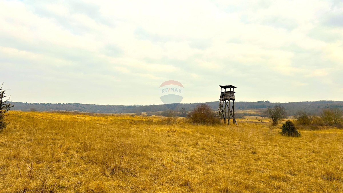 Terreno In vendita - ISTARSKA GROŽNJAN