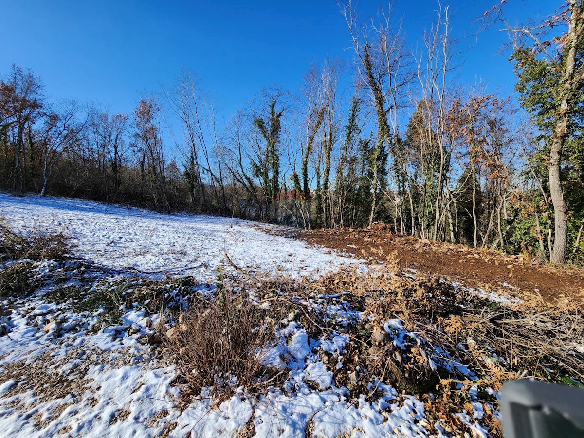 Terreno In vendita - ISTARSKA KAROJBA