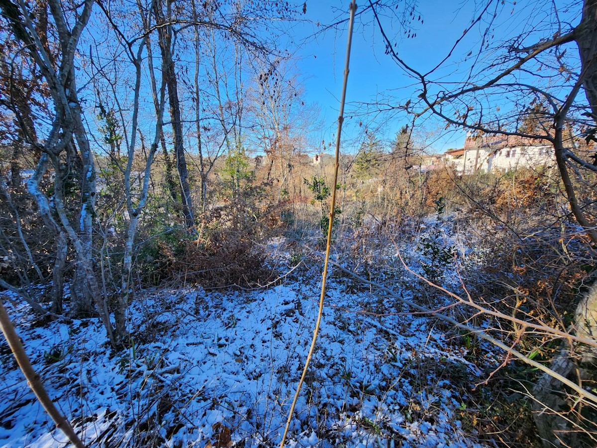 Terreno In vendita - ISTARSKA KAROJBA