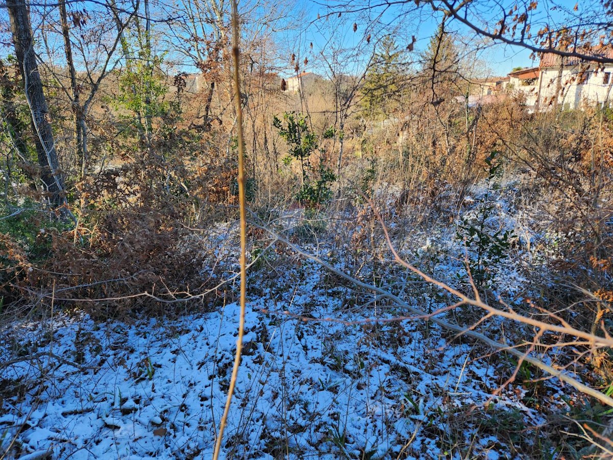 Terreno In vendita - ISTARSKA KAROJBA