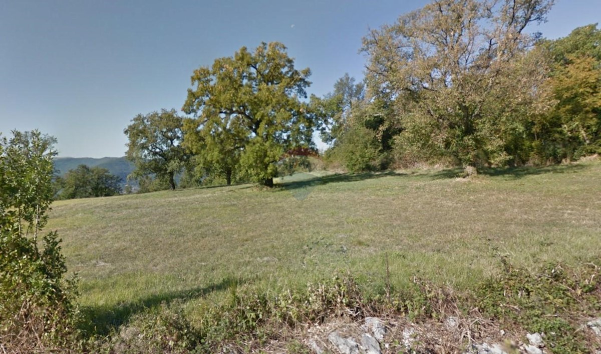 Land For sale - ISTARSKA BUZET