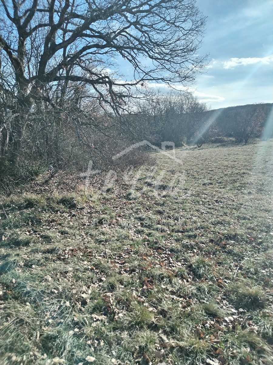 Parcela Na predaj - ISTARSKA LABIN