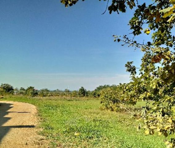 Parcela na predaj 34000 m² – Poreč