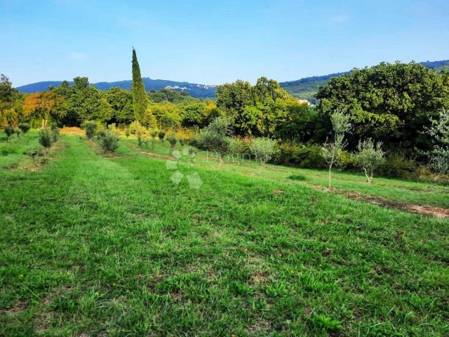 Terreno in vendita 13690 m² – Labin