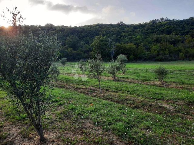 Zemljište Na prodaju - Istarska Labin - foto 5/7