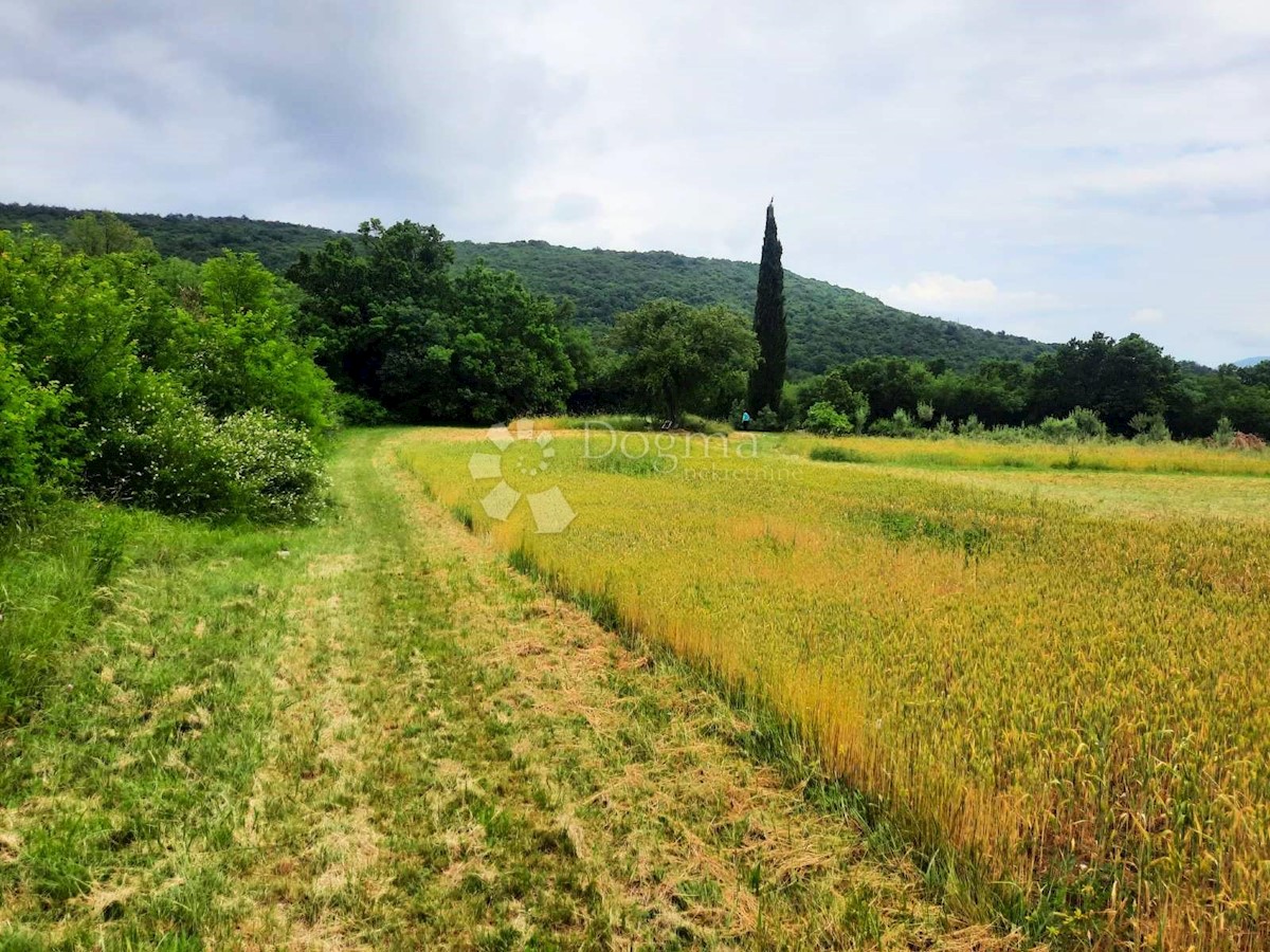 Pozemok Na predaj - ISTARSKA LABIN