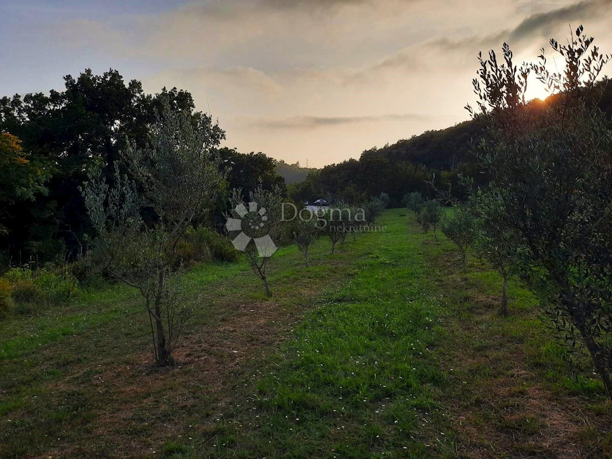 Pozemok Na predaj - ISTARSKA LABIN