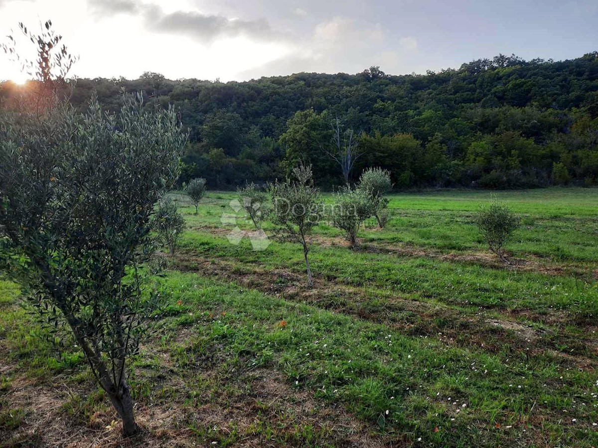 Pozemok Na predaj - ISTARSKA LABIN