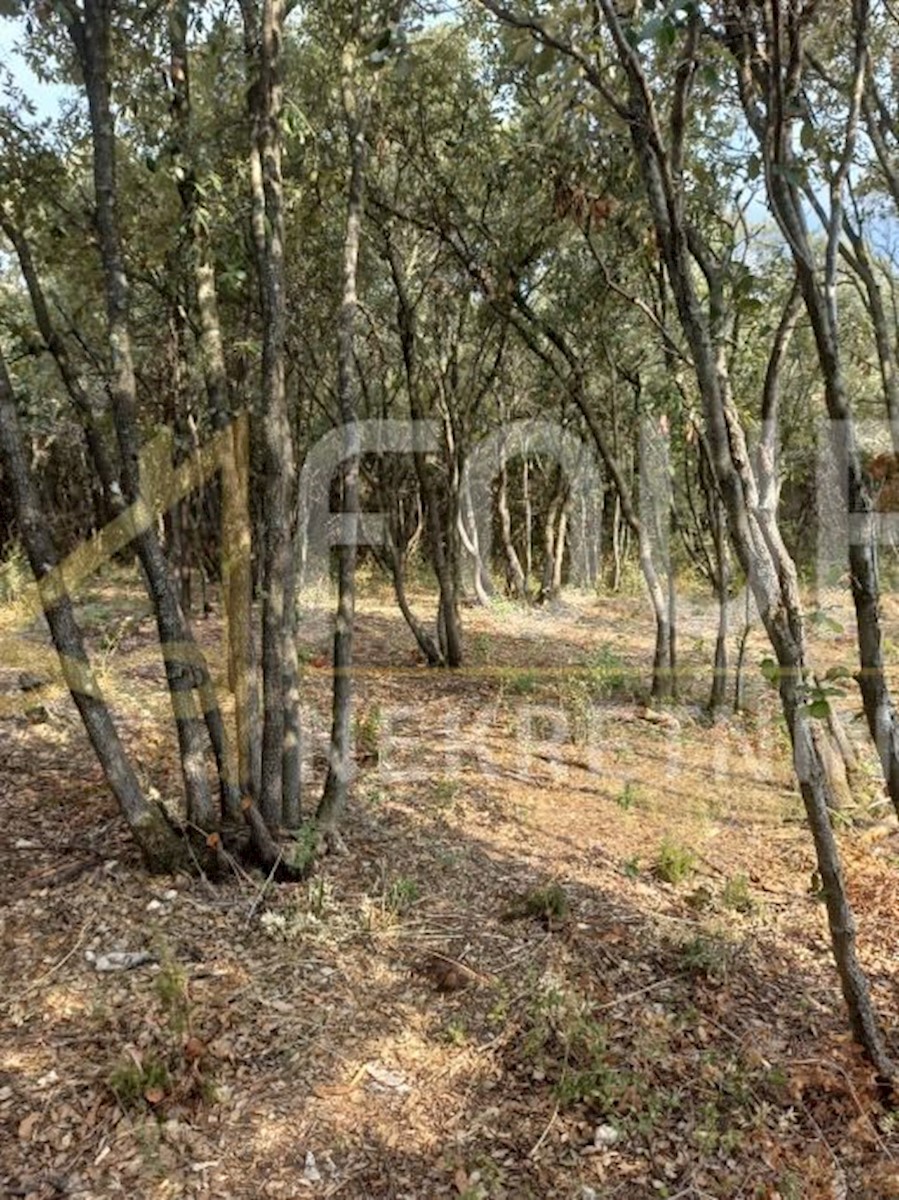 Parcela Na predaj - ISTARSKA MARČANA