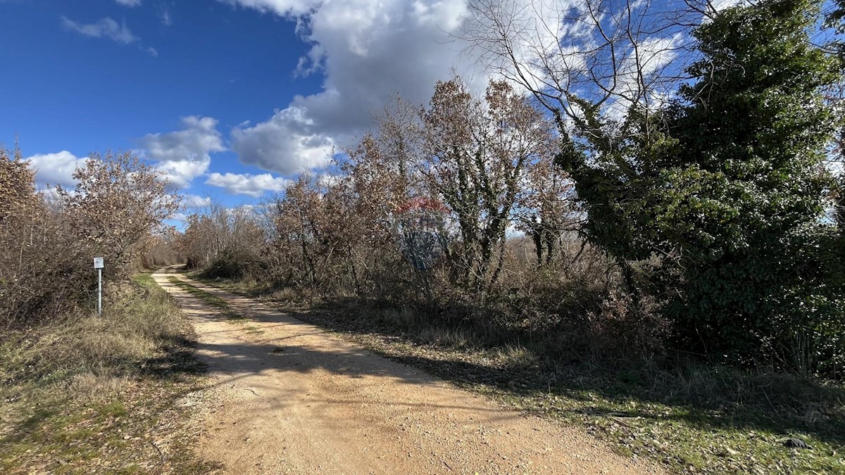 Land For sale - ISTARSKA POREČ