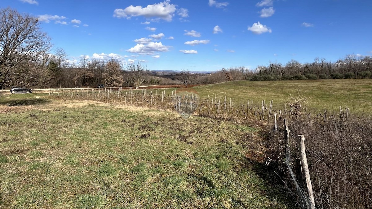 Działka Na sprzedaż - ISTARSKA VIŽINADA